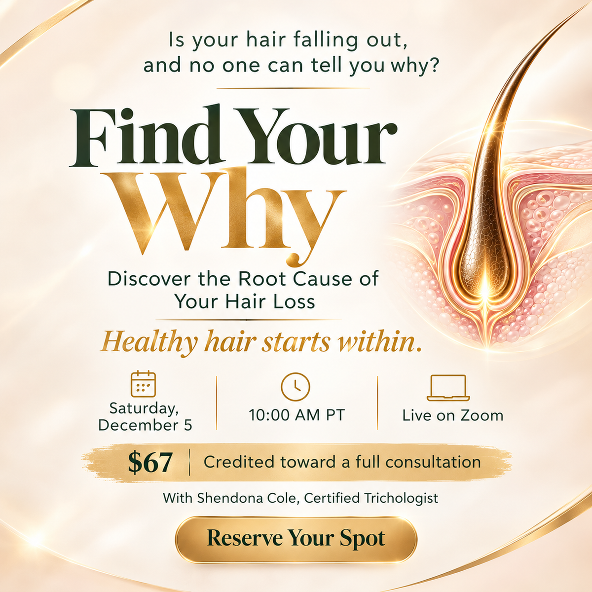 Find Your Why live hair loss class with certified trichologist Shendona Cole, December 5 on Zoom